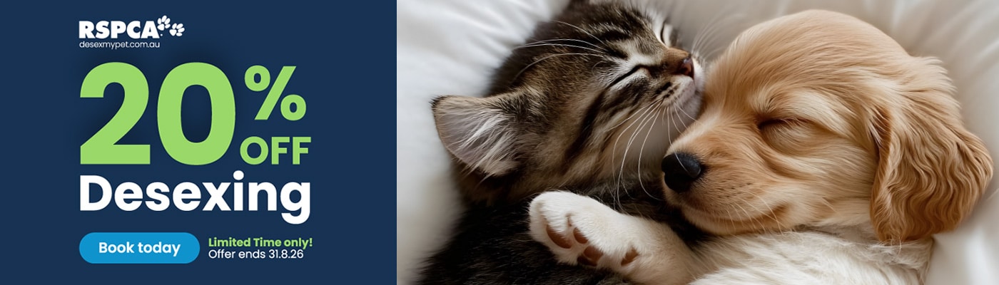RSPCA 20% off Desexing - Book today